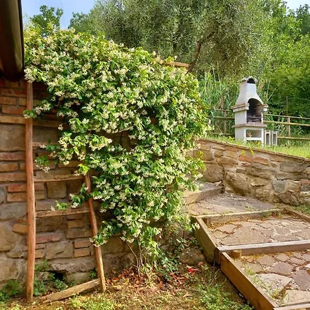 Radici House *