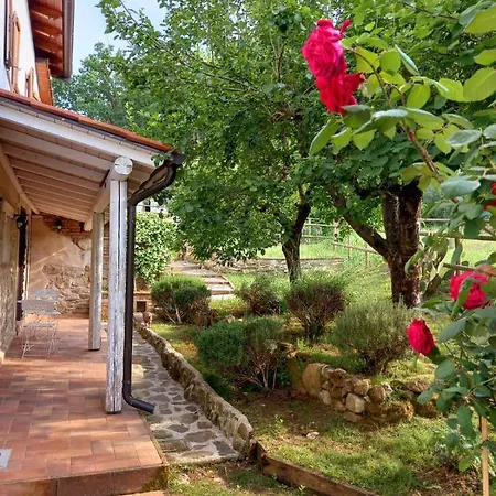 Сasa de vacaciones Radici House *